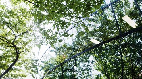 Charte sobriété énergétique _Esset Property Management