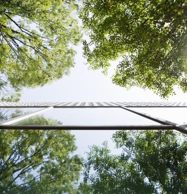 Recognition for our CSR performance